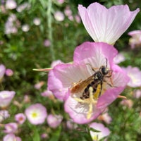 Photo taken at 東村山運動公園 野球場 by noi on 5/26/2021