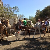 Foto scattata a Camel Park da Oleg G. il 8/18/2013