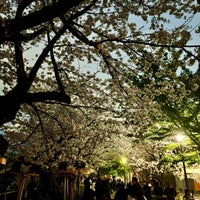 Photo taken at Chidorigafuchi Ryokudo by Meso T. on 4/8/2024