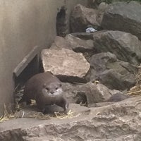Photo taken at Otter Enclosure by Melissa S. on 9/12/2015