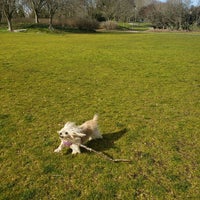 Photo taken at Jimi Hendrix Park by Beverly Z. on 3/6/2021