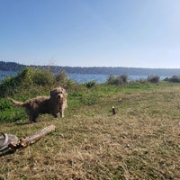 Photo taken at Lake Washington Beach Park by Beverly Z. on 9/6/2020