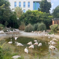 Photo taken at Bakı Zooparkı / Baku Zoo by Kamilla I. on 7/24/2023