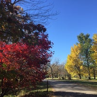 Photo taken at The Morton Arboretum by Rose on 11/1/2015