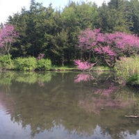 Photo taken at The Morton Arboretum by Rose on 5/8/2016