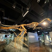 Photo taken at Melbourne Museum by Hank S. on 10/11/2023