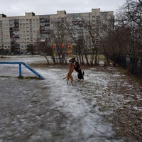Photo taken at Площадка для выгула собак. Купчага by Maximilian B. on 1/29/2018