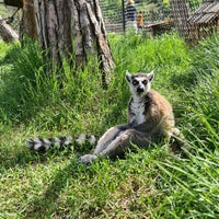 Photo taken at Tbilisi Zoo | თბილისის ზოოპარკი by Igor on 4/24/2022