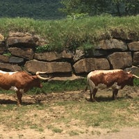 Photo taken at Parque Gaúcho by Joao Carlos R. on 1/3/2017