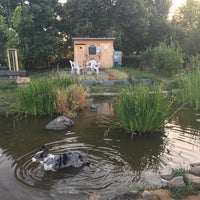 Photo taken at Komunitní zahrada Suchdol by Jakub T. on 6/26/2017