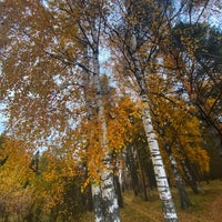 Photo taken at питомник by Yulia 🐾 on 10/10/2021