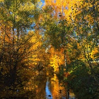 Photo taken at Суздальский Канал by Yulia 🐾 on 10/15/2018