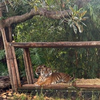 Foto tirada no(a) Taronga Zoo por Samarlot em 3/28/2024