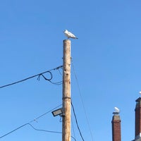 9/4/2021 tarihinde Michelleziyaretçi tarafından Woodman&amp;#39;s of Essex'de çekilen fotoğraf