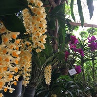 Photo taken at Sainamphung Orchids สวนกล้วยไม้สายน้ำผึ้ง by Phanthong P. on 8/4/2016