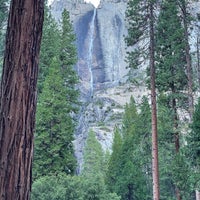 Image added by Seth Tisue at Lower Yosemite Fall Trail