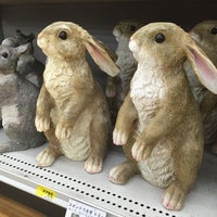 セキチュー 川越南古谷店 1 Tip