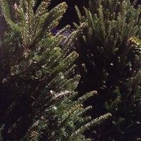 Photo taken at Gore&amp;#39;s Christmas Trees by Jamie R. on 12/5/2012