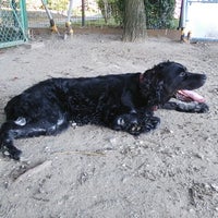 犬の遊び場 金沢区 金沢区海の公園10 犬の遊び場 金沢区 金沢区海の公園10