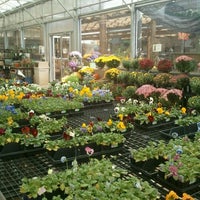 รูปภาพถ่ายที่ Wedel&amp;#39;s Nursery, Florist and Garden Center โดย Michael A C. เมื่อ 10/8/2012