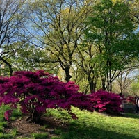Photo taken at Central Park - 72nd St Transverse by Terri N. on 5/2/2020
