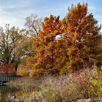 Photo taken at Turtle Pond by Terri N. on 11/16/2023