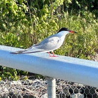 Photo taken at Captree State Park by Terri N. on 5/27/2023