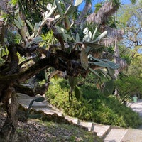 Photo taken at Jardim Botânico by A &amp;amp; A on 5/9/2024