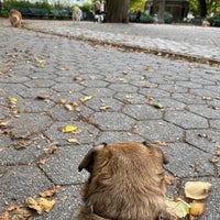 Photo taken at Stuyvesant Square Dog Park by Robby on 10/18/2020