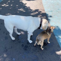Photo taken at Leroy Street Dog Run by Robby on 5/1/2021