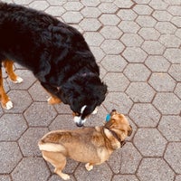 Photo taken at Stuyvesant Square Dog Park by Robby on 12/7/2019