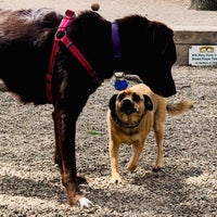 Photo taken at Union Street Dog Park by Robby on 4/19/2019