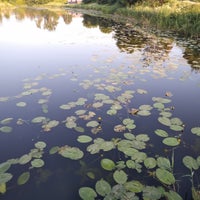 Photo taken at Пушкарская слобода by V on 6/9/2019