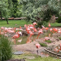 Photo taken at Zoo Aquarium de Madrid by Margo on 5/26/2023