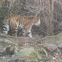 Photo taken at Tigergehege by Nikita on 3/9/2022