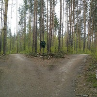 Photo taken at Тропинка ак. К.И. Замараева by Aleksandr S. on 5/30/2013