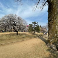 Photo taken at 梅林 by 関 カ. on 3/13/2022