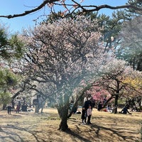 小金井公園梅林 Garden In 小金井市 小金井公園梅林 Garden In 小金井市