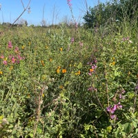 Photo taken at Sepulveda Wildlife Preserve by Jeff J. on 6/4/2023