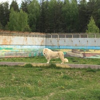 Photo taken at Ярославский Зоопарк by mephodiy on 6/2/2017