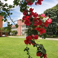 Photo taken at Faculdade de Educação (FE-USP) by Cris B. on 2/14/2021