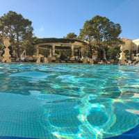 2/3/2023 tarihinde Melody Ybona G.ziyaretçi tarafından Bellagio Pool'de çekilen fotoğraf
