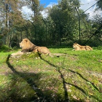 Photo taken at Zoo Salzburg by Solo on 9/21/2022