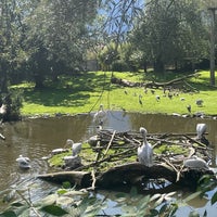 Photo taken at Zoo Salzburg by Solo on 9/21/2022