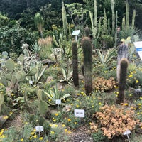 Photo taken at Botanischer Garten by Nataliya K. on 8/8/2021