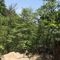 弥山原始林 廿日市市 0 Tips