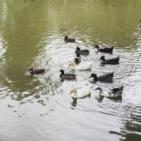 Foto scattata a Audubon Park Golf Course da Ruizhi L. il 10/25/2015