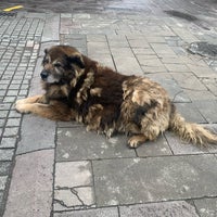 Photo taken at Pendik Train Station by ⚓️Ceyda S. on 4/5/2023