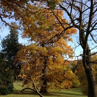 Photo taken at Schloss Ettersburg by B M. on 10/24/2012