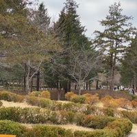 Photo taken at Mulhyanggi Arboretum by 재영 허. on 3/6/2021